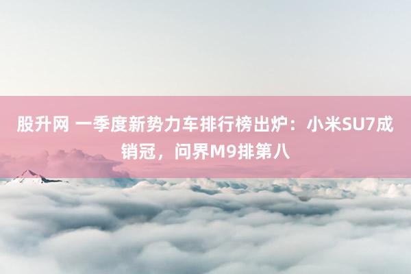 股升网 一季度新势力车排行榜出炉：小米SU7成销冠，问界M9排第八