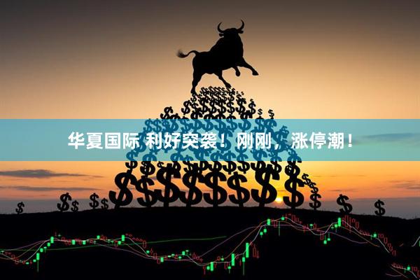 华夏国际 利好突袭！刚刚，涨停潮！