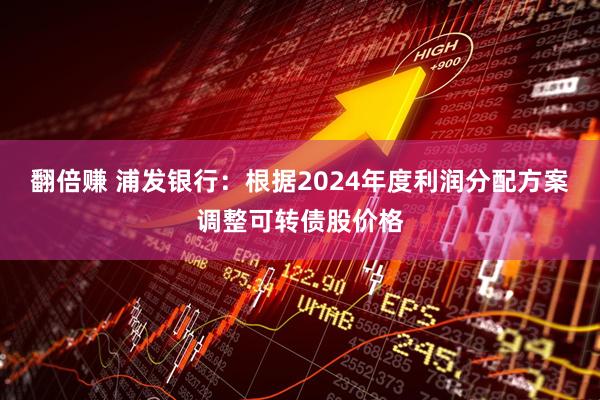 翻倍赚 浦发银行：根据2024年度利润分配方案调整可转债股价格