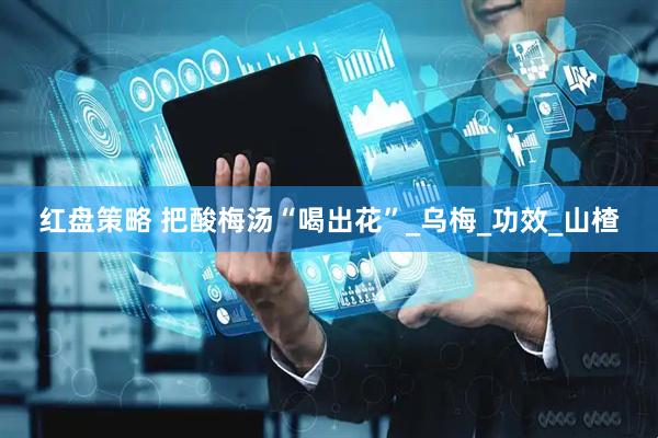 红盘策略 把酸梅汤“喝出花”_乌梅_功效_山楂