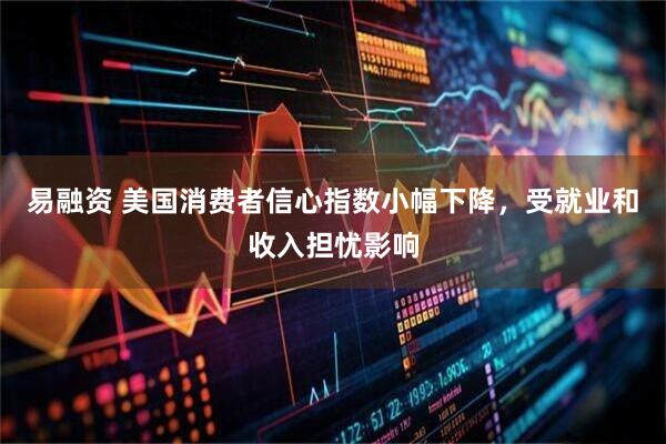 易融资 美国消费者信心指数小幅下降，受就业和收入担忧影响
