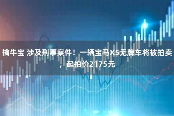 擒牛宝 涉及刑事案件！一辆宝马X5无牌车将被拍卖，起拍价2175元