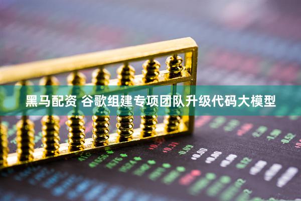 黑马配资 谷歌组建专项团队升级代码大模型